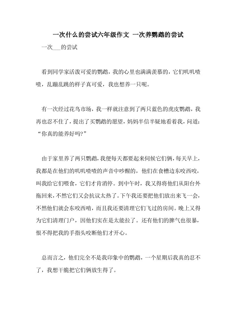 一次什么的尝试六年级作文