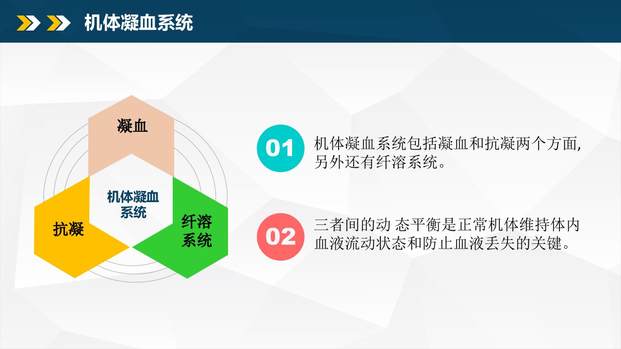 凝血及抗凝血机制ppt课件