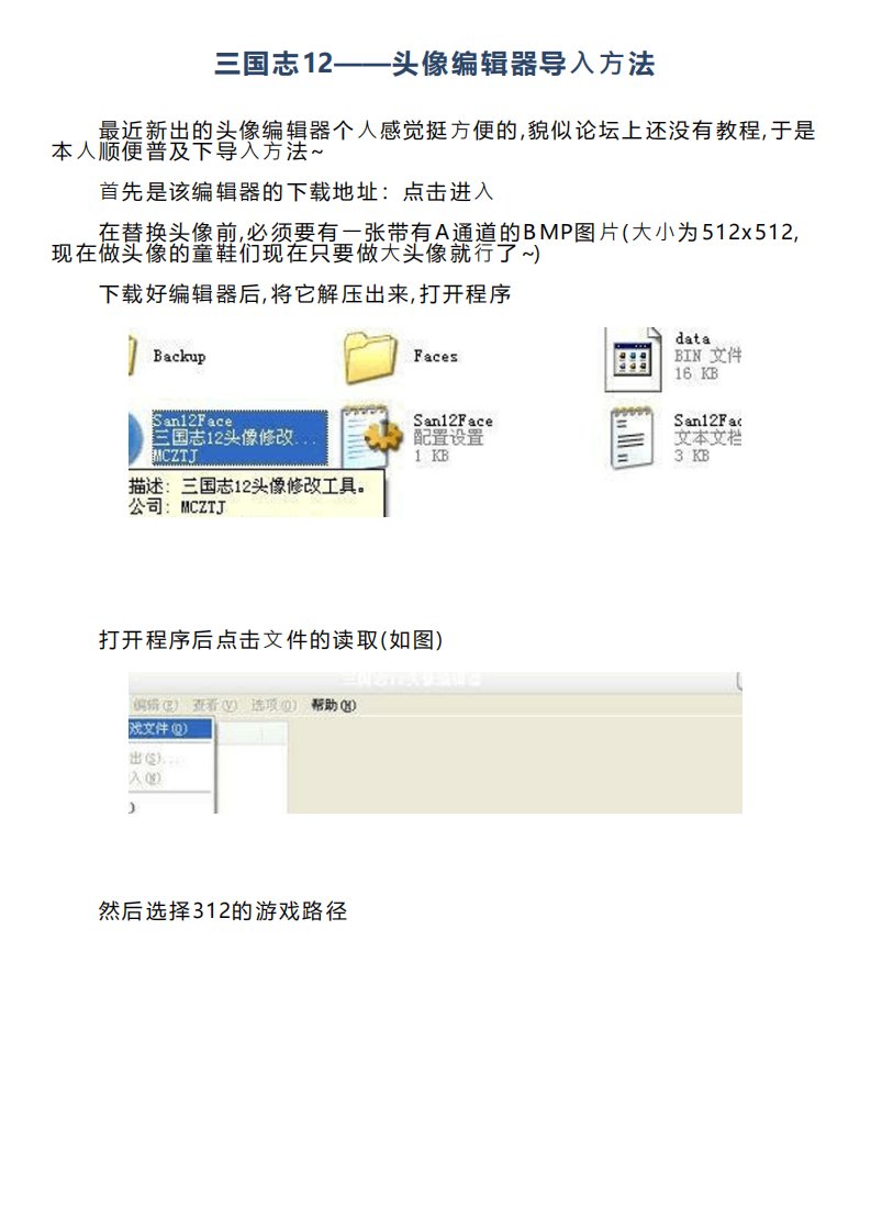 三国志12头像编辑器导入方法