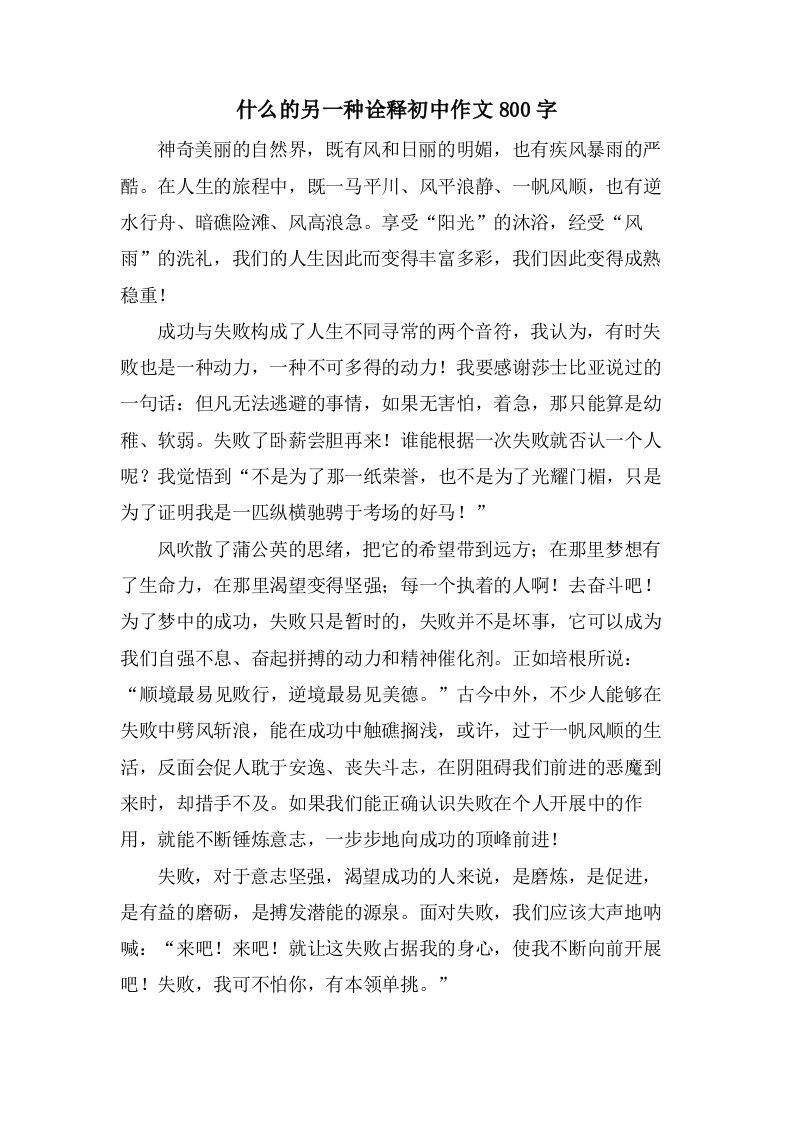 什么的另一种诠释初中作文800字