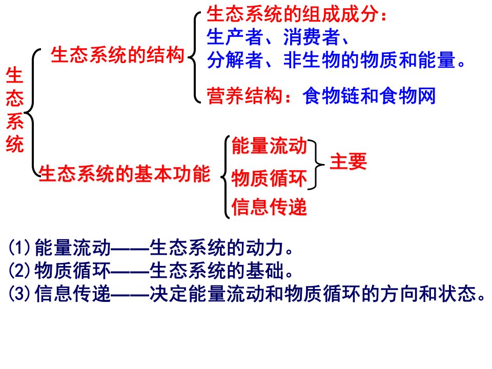 能量流动一轮复习新泰一中