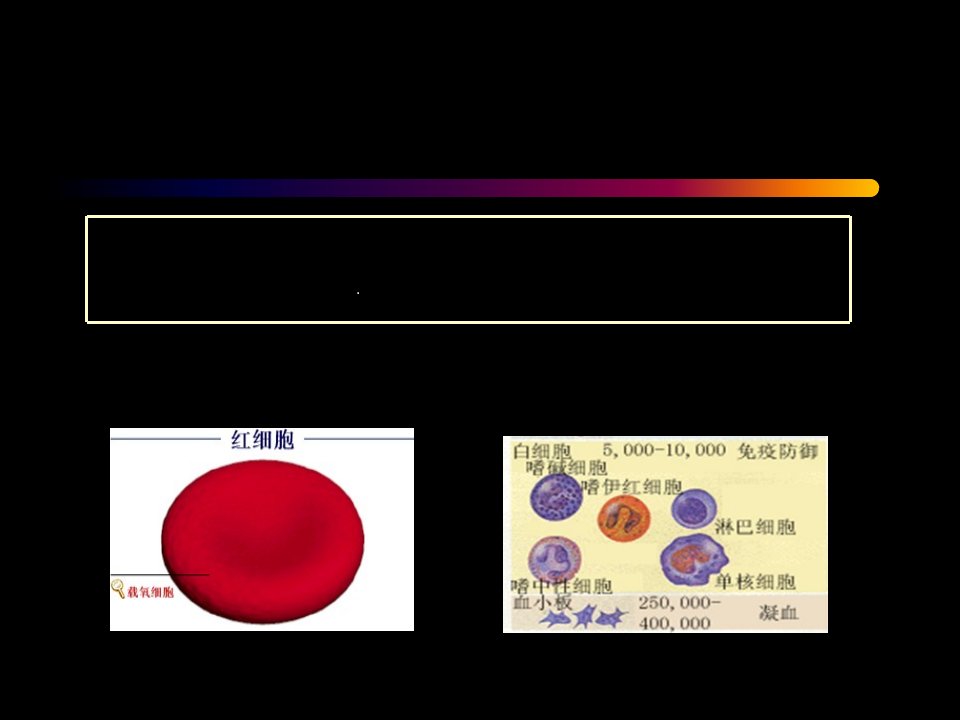 运动生理学第三章血液与运动