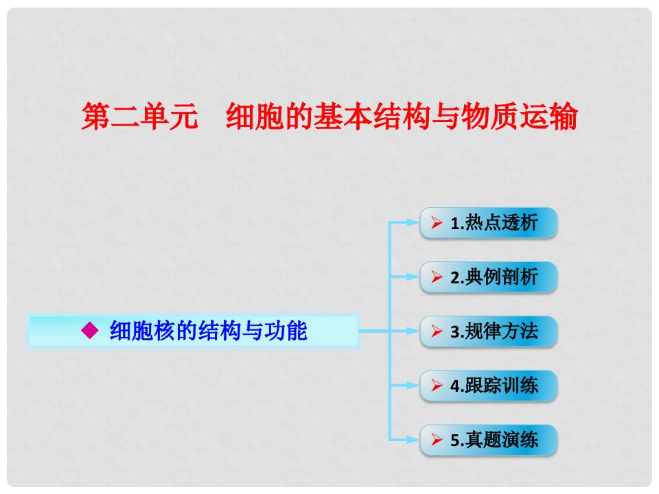 高考生物一轮复习