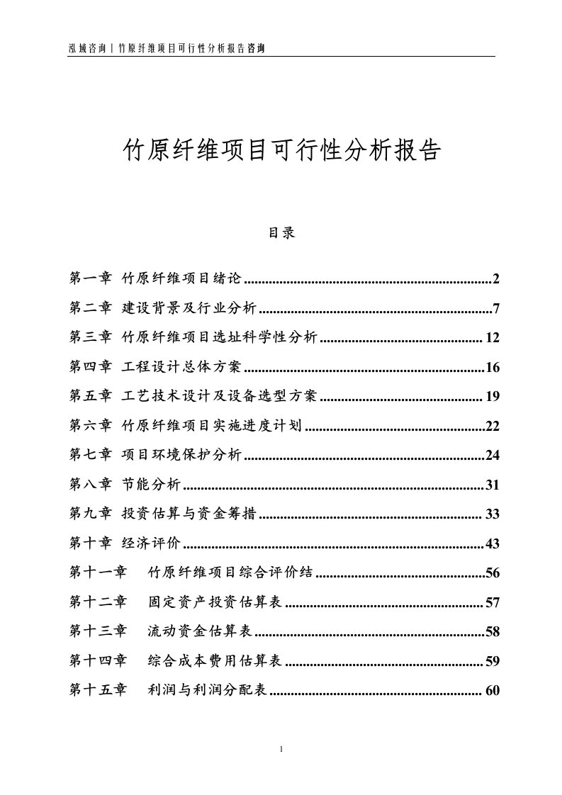 竹原纤维项目可行性分析报告