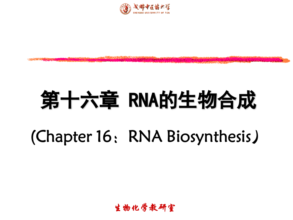 八版第十六章RNA的生物合成ppt课件