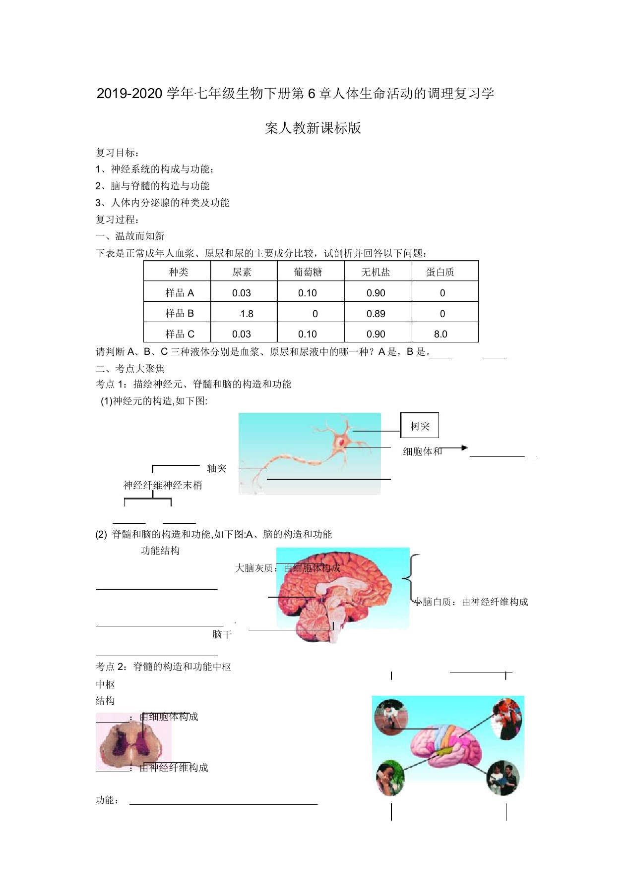 2019-2020学年七年级生物下册第6章人体生命活动的调节复习学案人教新课标版doc