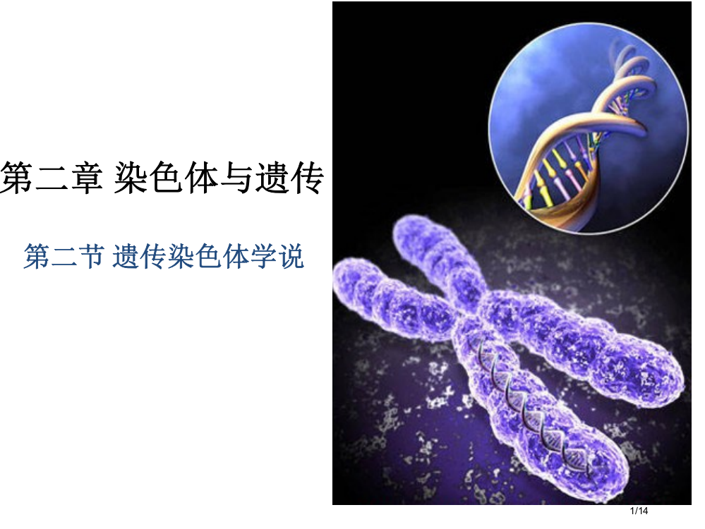 遗传的染色体学说--浙科版市公开课一等奖省赛课微课金奖PPT课件