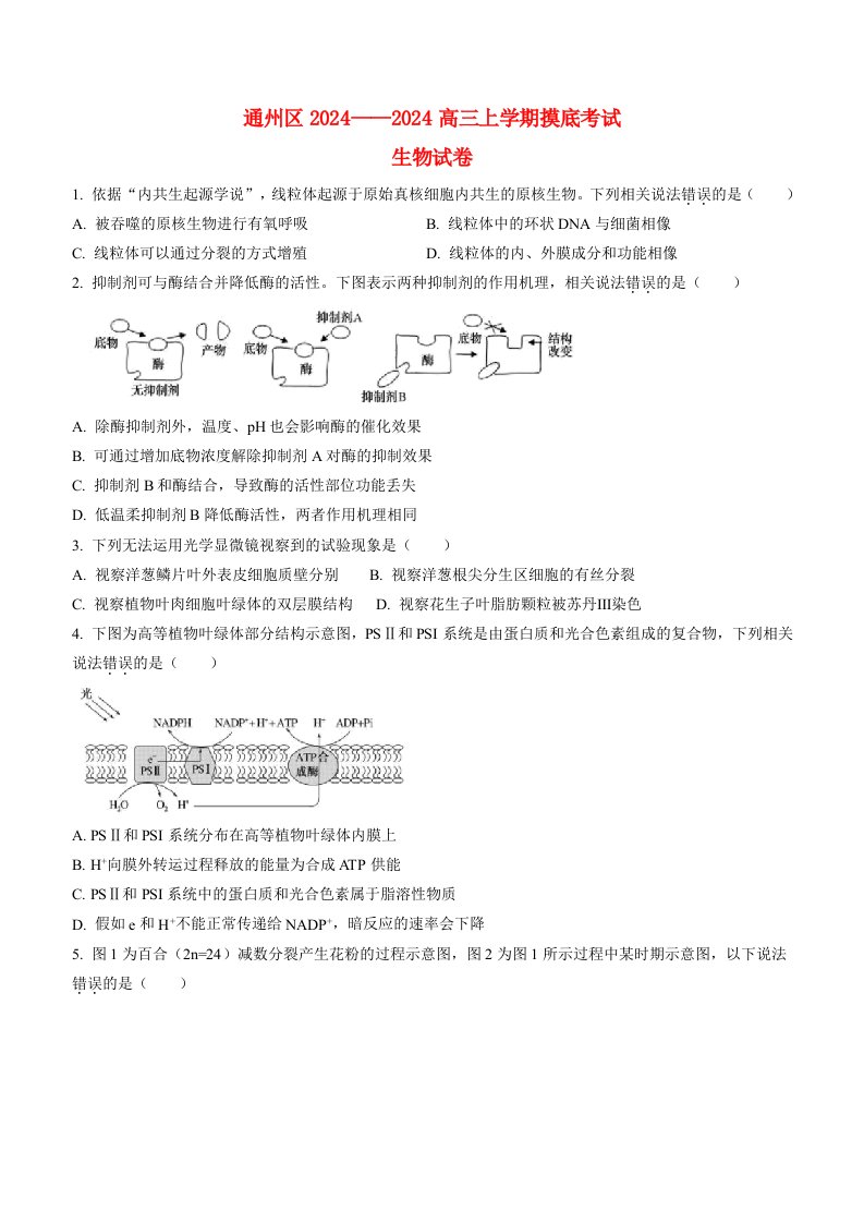 北京市通州2024