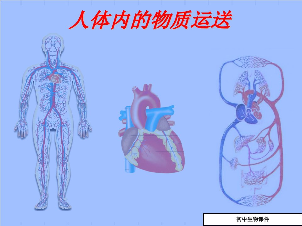 初中七年级初一生物人体内物质的运输复习课件市公开课一等奖市赛课获奖课件