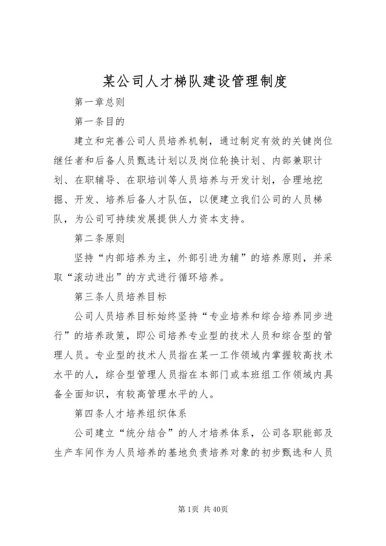 2022某公司人才梯队建设管理制度