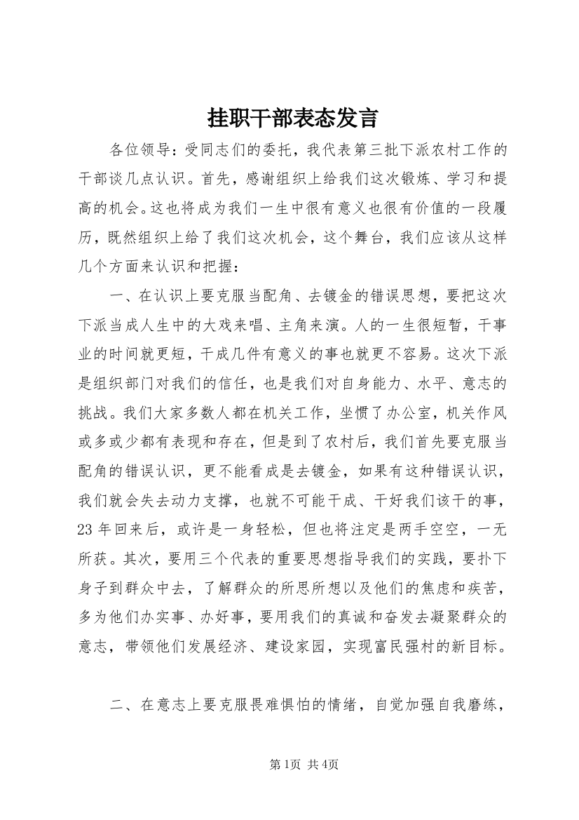 挂职干部表态发言