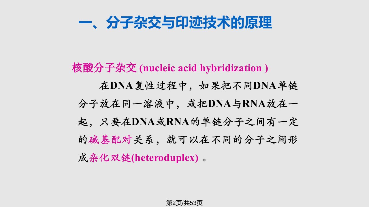 第10章常用分子生物学技术的原理及应用