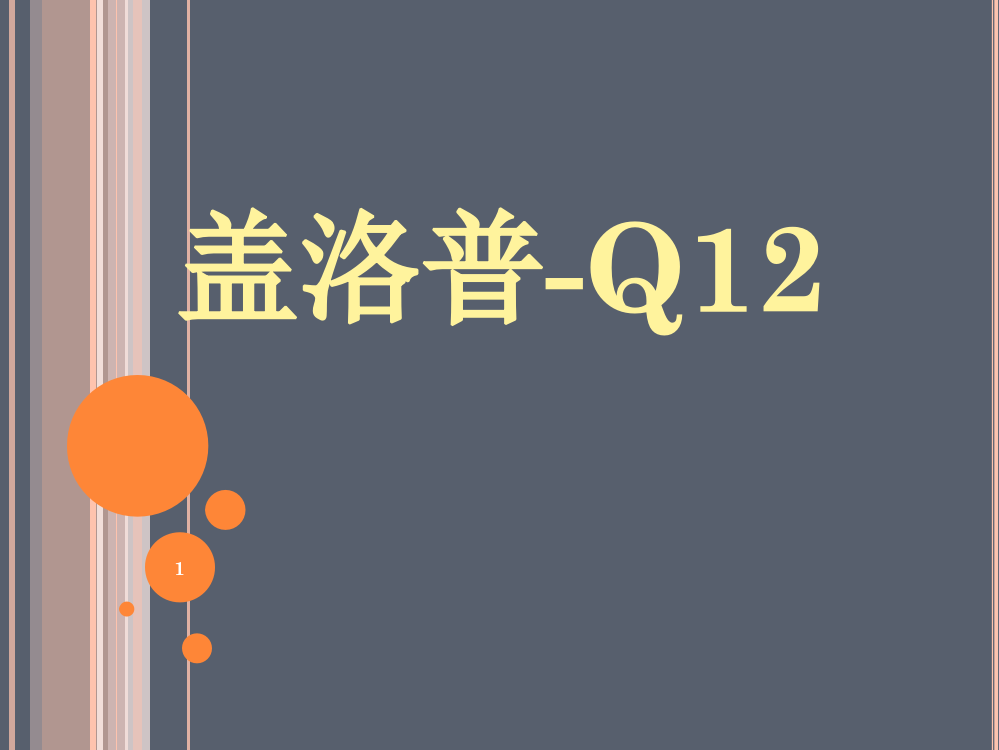 盖洛普Q12解读和实施ppt课件