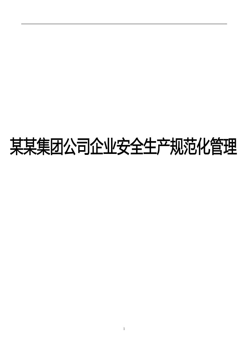 某某集团公司企业安全生产规范化管理