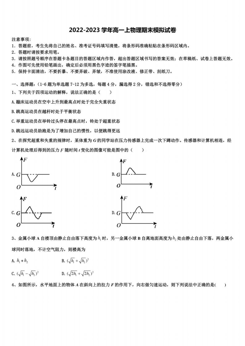 2023届重庆市九校物理高一第一学期期末达标检测模拟试题含解析