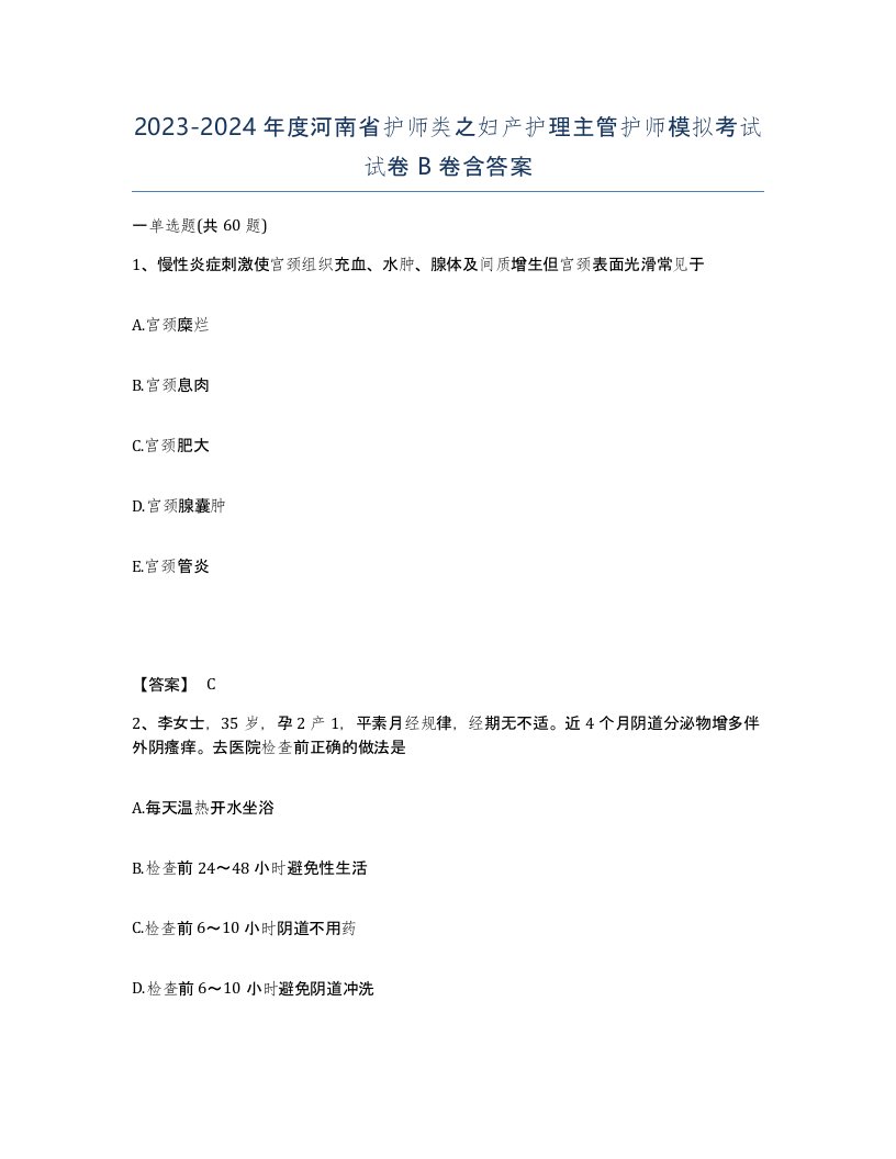 2023-2024年度河南省护师类之妇产护理主管护师模拟考试试卷B卷含答案