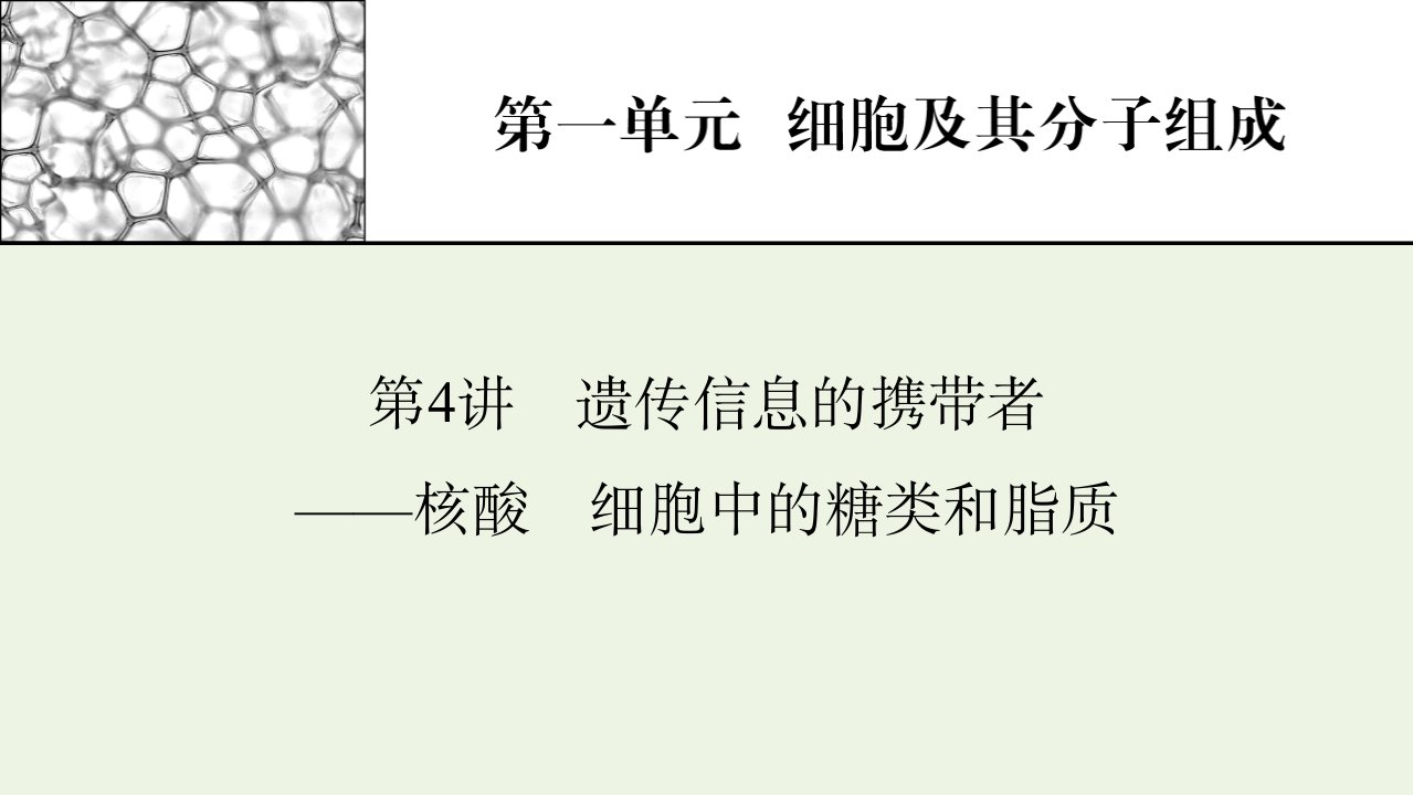 2022届高考生物一轮复习第1单元细胞及其分子组成第4讲遗传信息的携带者__核酸细胞中的糖类和脂质课件新人教版