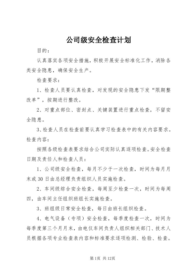 公司级安全检查计划