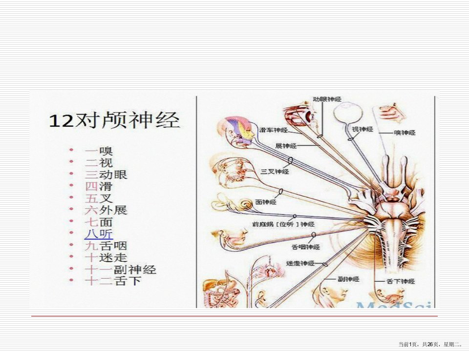 听神经瘤护理查房