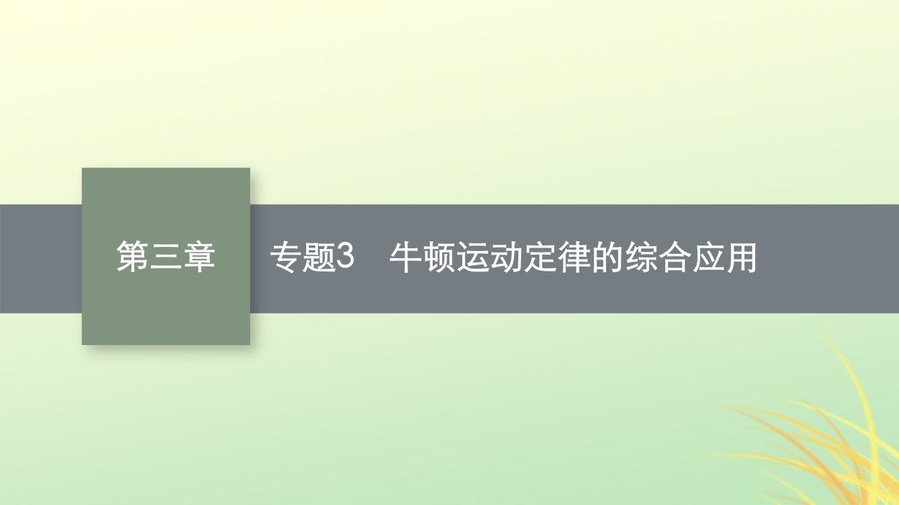 适用于新高考新教材广西专版2024届高考物理一轮总复习第3章牛顿运动定律专题3牛顿运动定律的综合应用课件