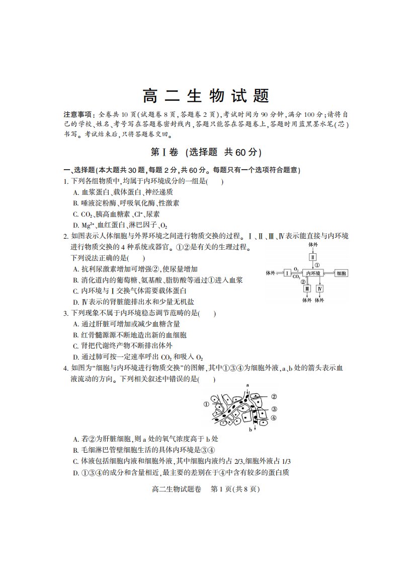 四川省凉山州北大金阳附属实验学校2019