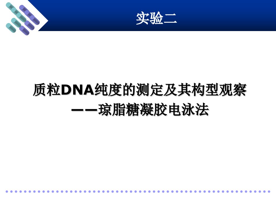 质粒DNA纯度的测定及其构型观察