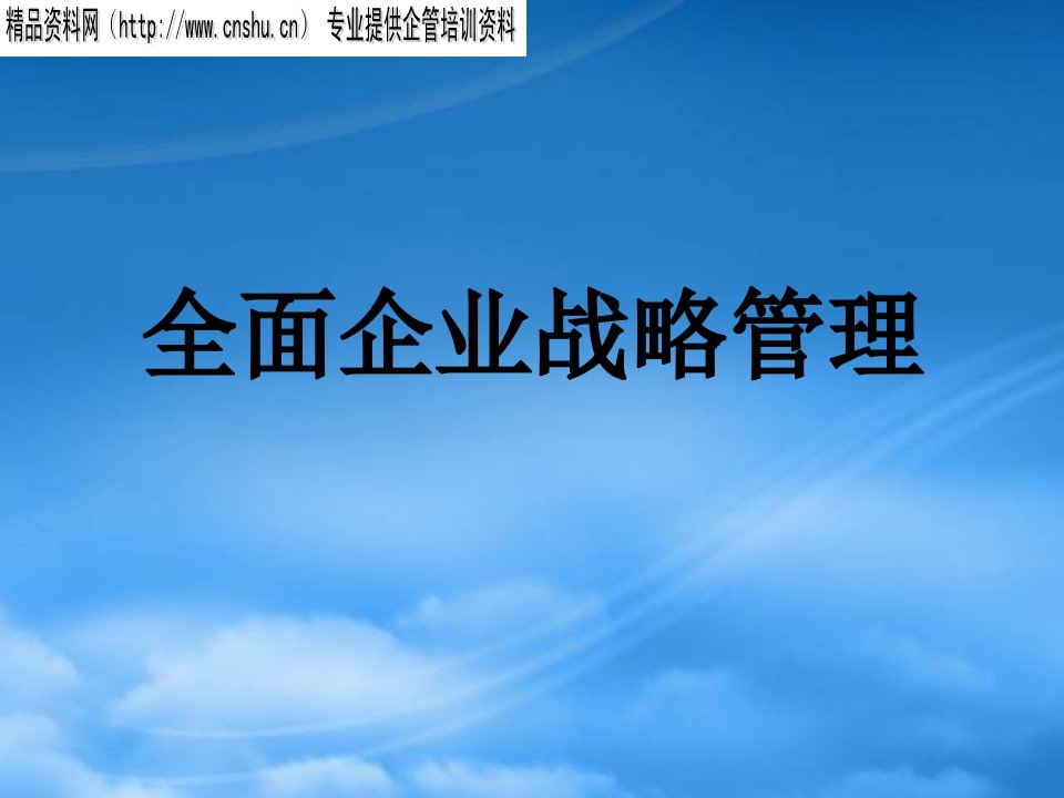 全面企业战略管理研究报告