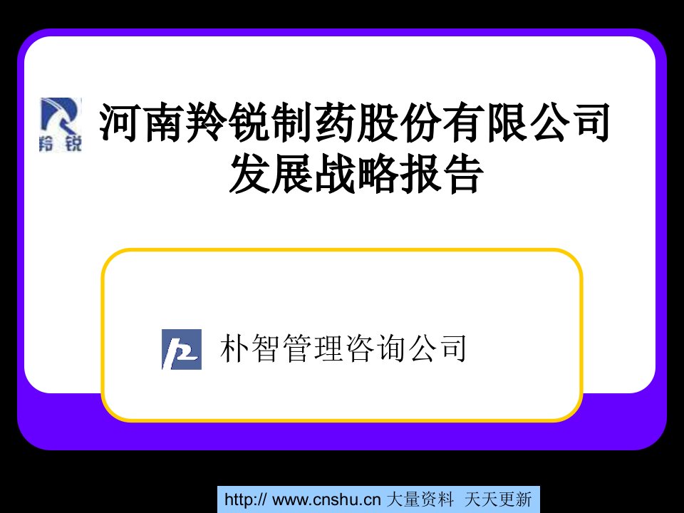 河南羚锐制药股份有限公司发展战略报告(1)PPT课件