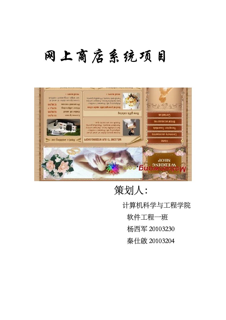 系统分析网上商店系统项目