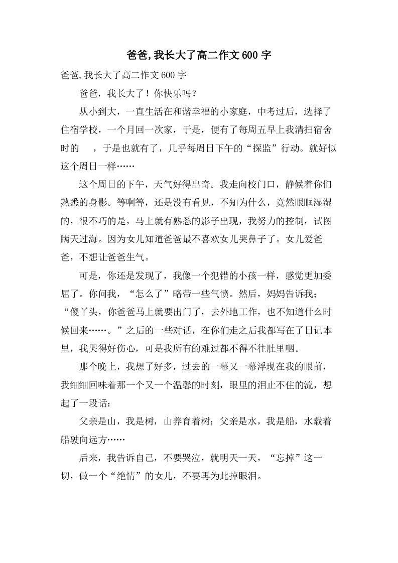 爸爸,我长大了高二作文600字