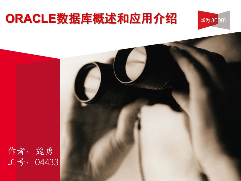 《ORACLE数据库概述和应用介绍》