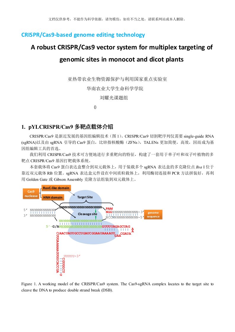 刘耀光-多靶点pCRISPR载体(单子叶和双子叶植物用)使用方法-4-14(new)(1)