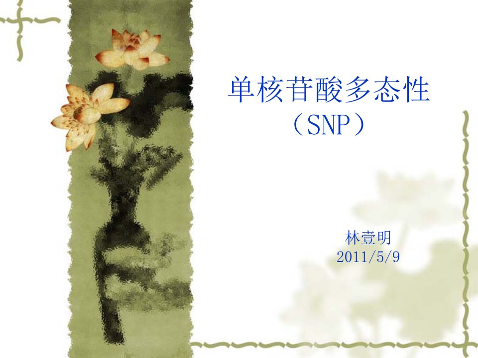 SNP检测方法