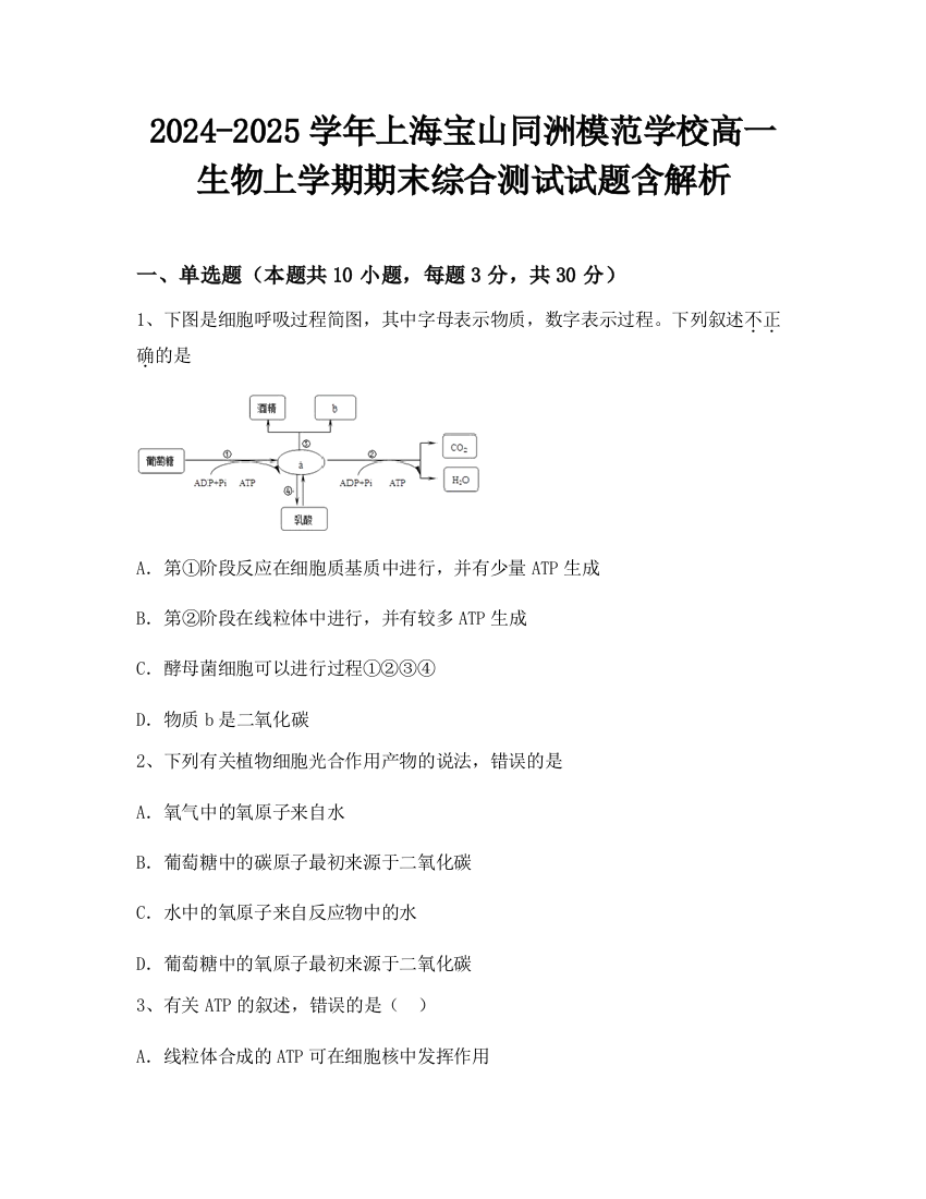 2024-2025学年上海宝山同洲模范学校高一生物上学期期末综合测试试题含解析