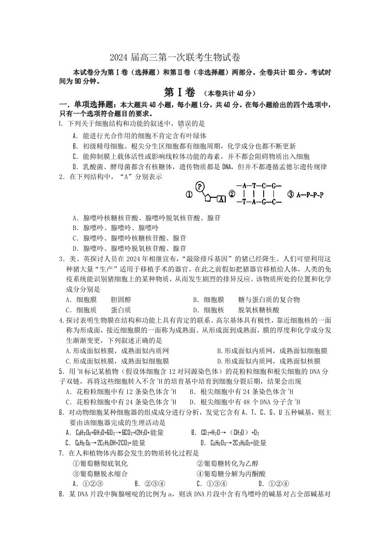 2024届高三第一次联考生物试卷