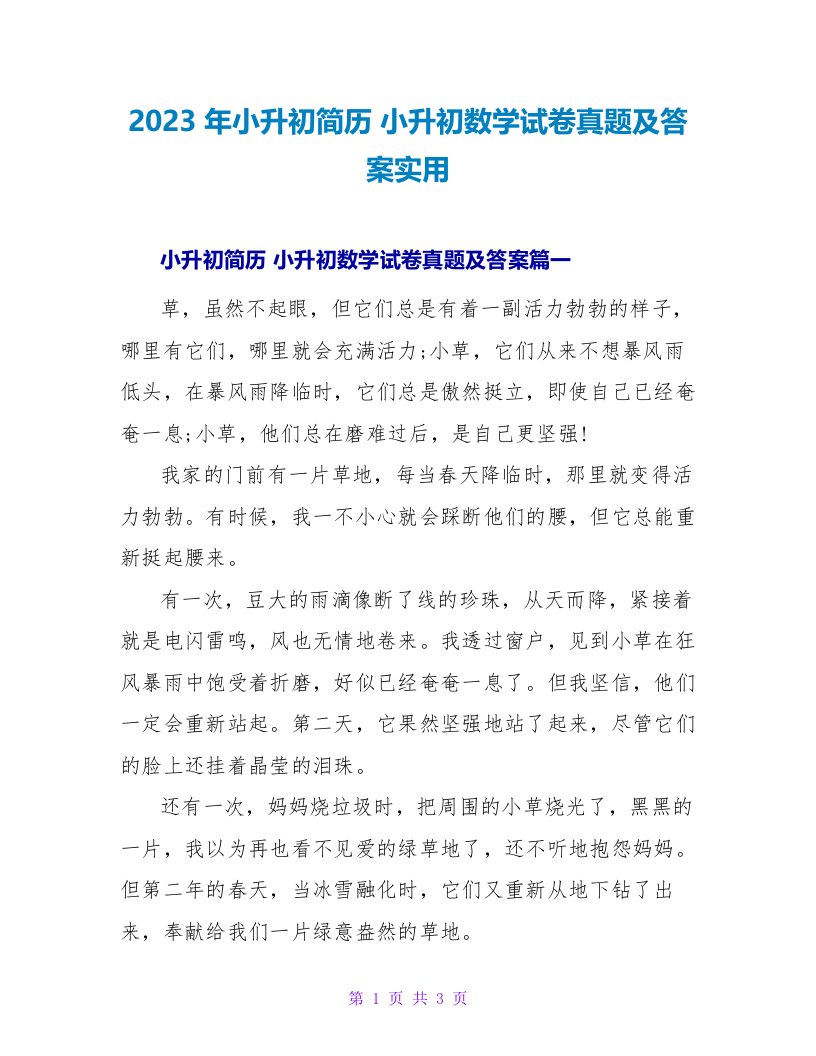 2023年小升初简历小升初数学试卷真题及答案实用