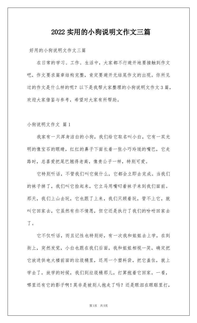 2022实用的小狗说明文作文三篇