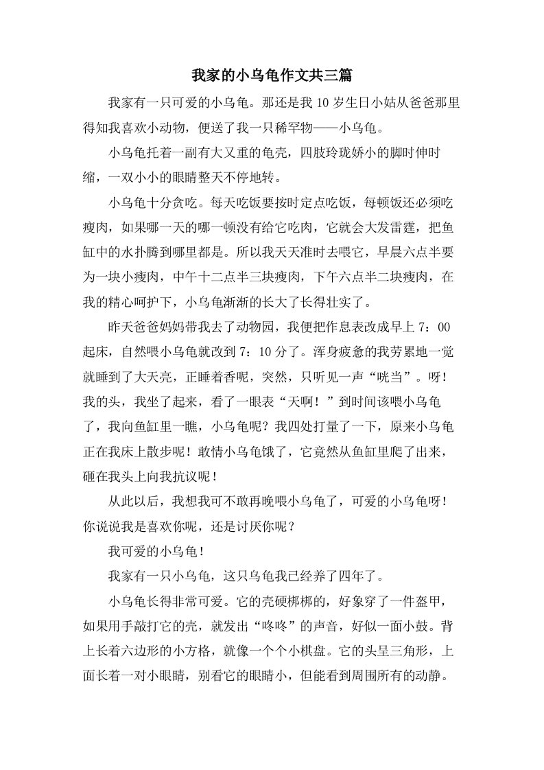 我家的小乌龟作文共三篇