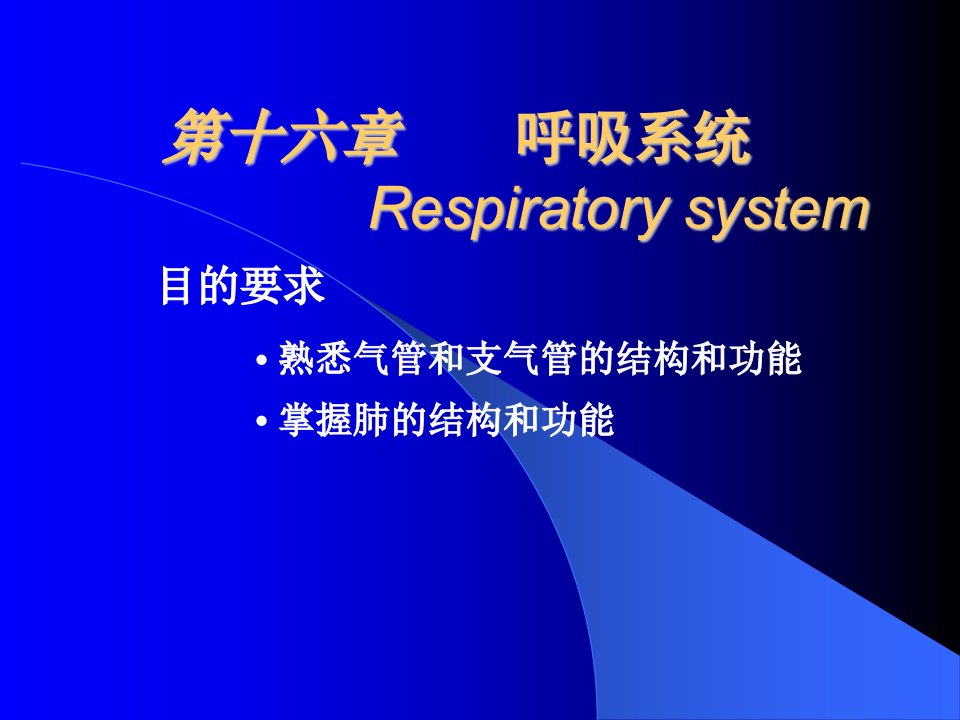 第6章呼吸系统ppt课件名师编辑PPT课件