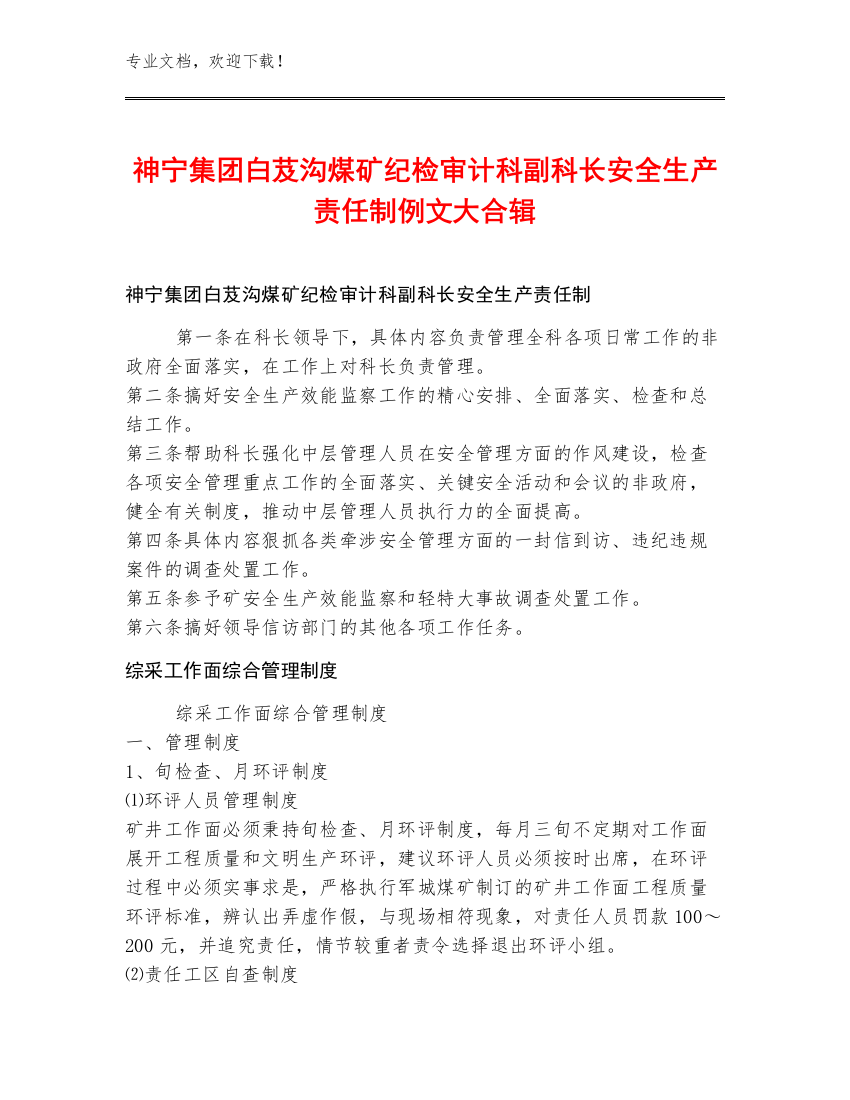 神宁集团白芨沟煤矿纪检审计科副科长安全生产责任制例文大合辑