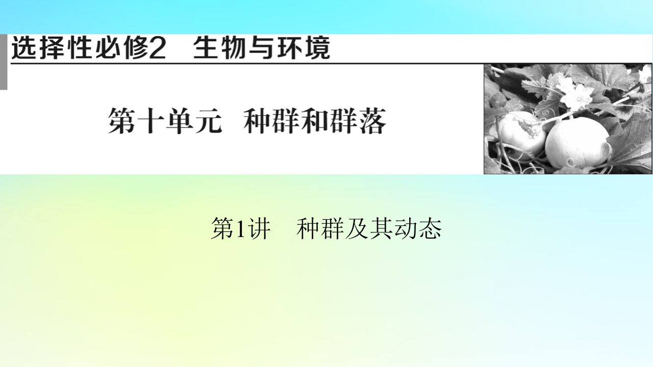 2024版高考生物一轮总复习第十单元种群和群落第1讲种群及其动态课件