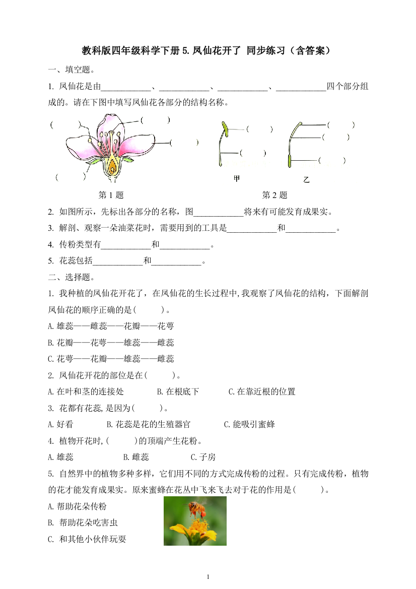 【精一课一练-含答案】1.5.凤仙花开了--四年级下册科学-教科版