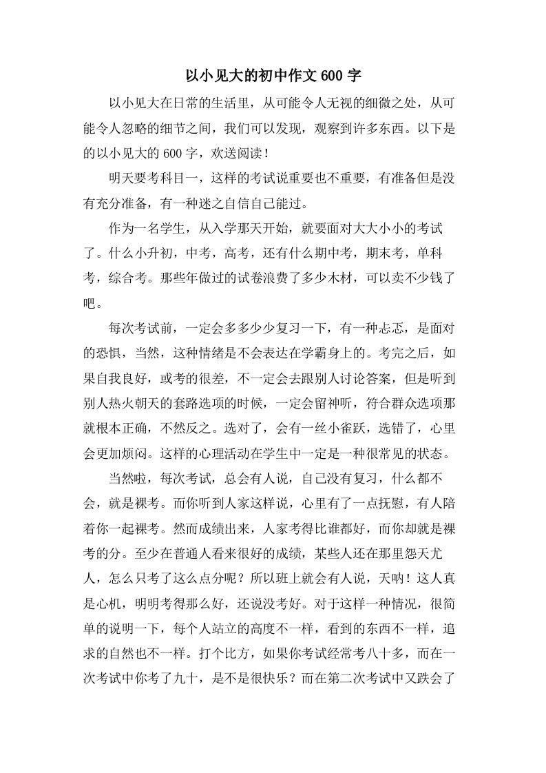 以小见大的初中作文600字