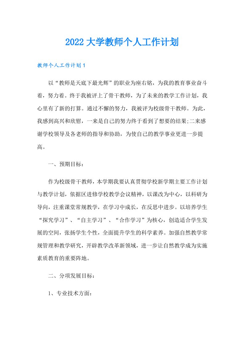 大学教师个人工作计划