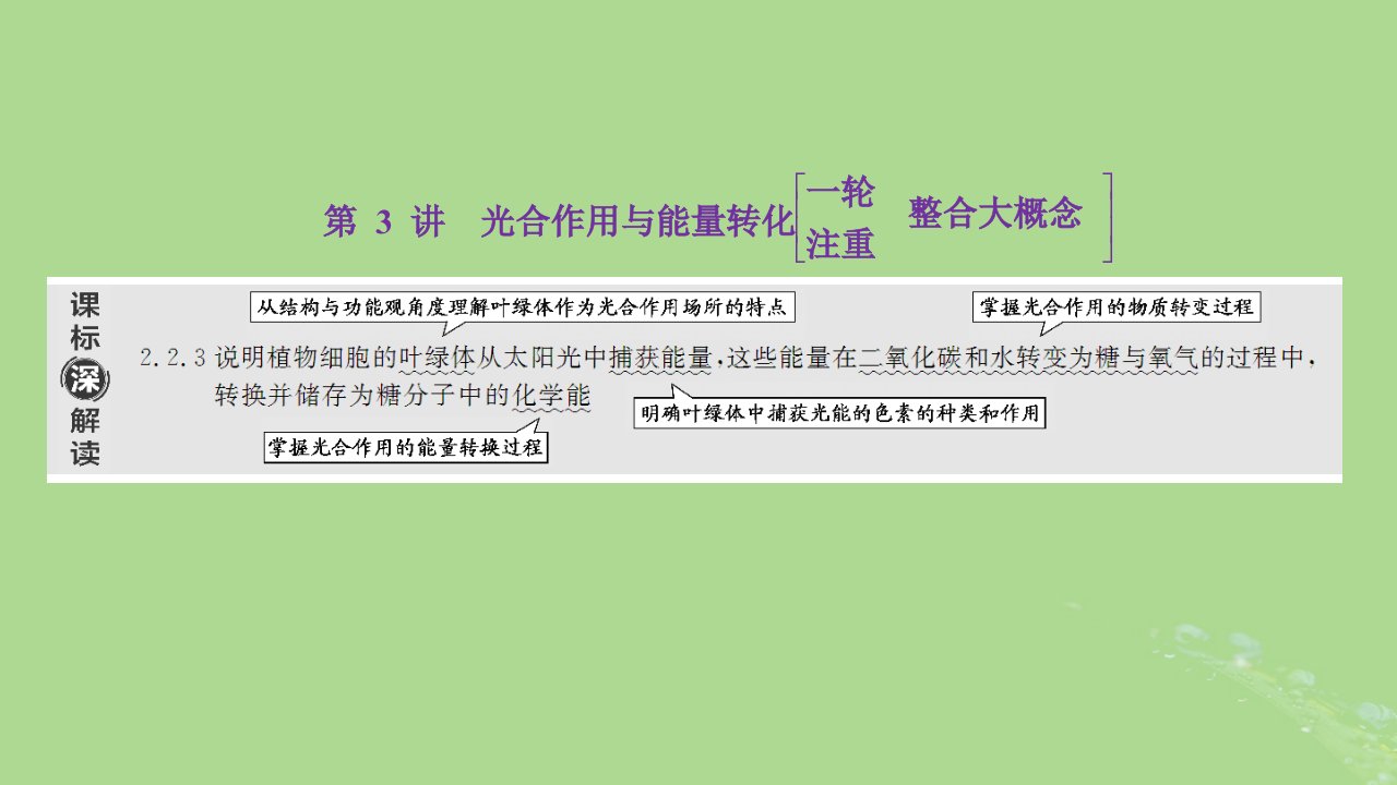 新课标2023版高考生物一轮总复习第三单元细胞的能量供应和利用第3讲光合作用与能量转化课件