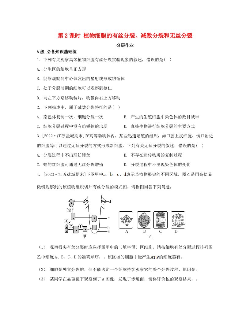 江苏专版2023_2024学年新教材高中生物第四章细胞增殖分化衰老和死亡第一节细胞增殖第2课时植物细胞的有丝分裂减数分裂和无丝分裂分层作业苏教版必修1