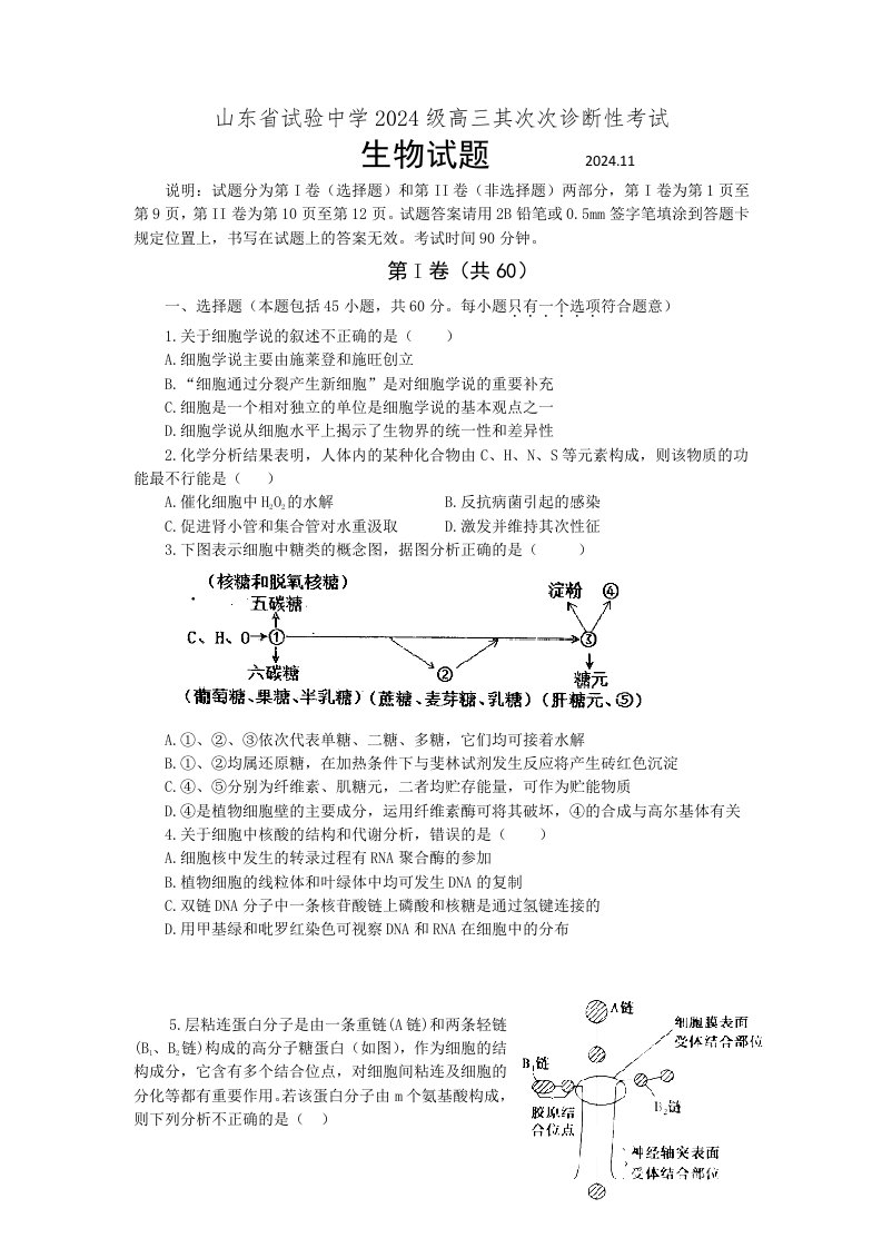 山东省实验中学2024届高三第二次诊断性考试生物试题