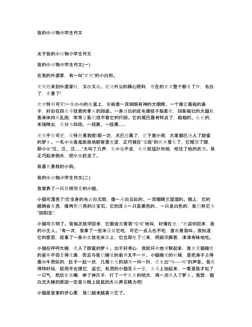 我的小动物小学生作文