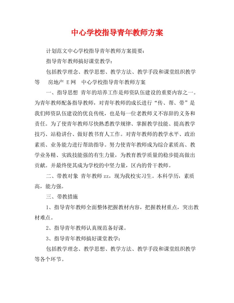 中心学校指导青年教师方案