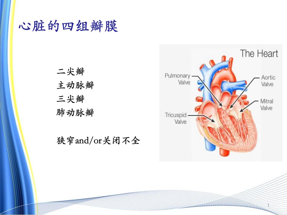 最新心脏瓣膜病的麻醉PPT课件